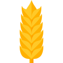 Kornbonde