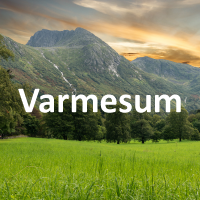 Varmesum